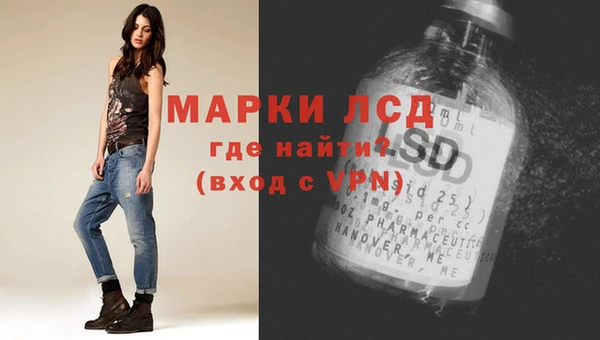 прущие грибы Балахна