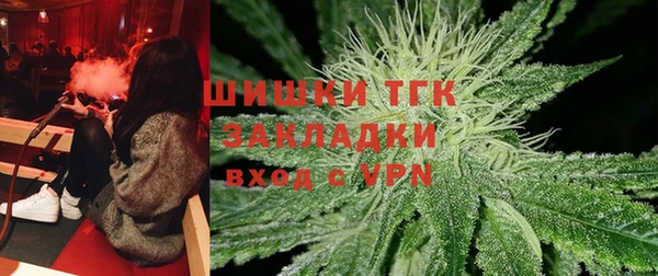 прущие грибы Балахна