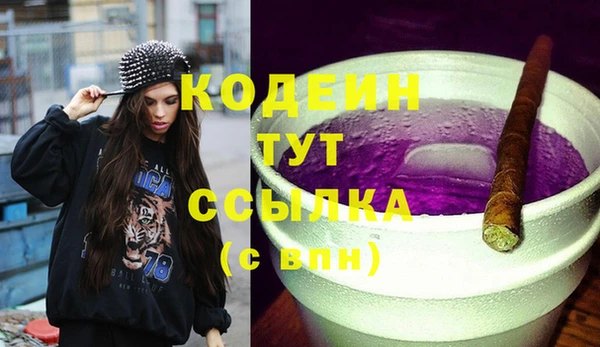 прущие грибы Балахна