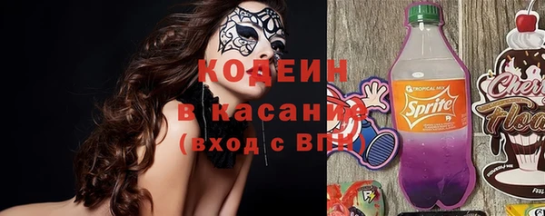 прущие грибы Балахна